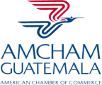 logo-amcham-1-1 1